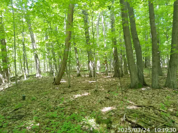 Willsboro, NY 12996,0 Vista DR