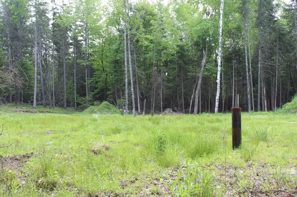 Indian Lake, NY 12842,132 Fred Gay Road