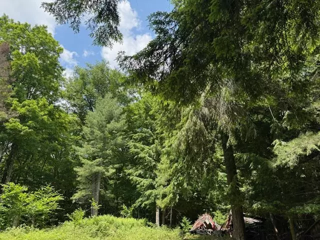 Old Forge, NY 13420,00 Cold Spring RD