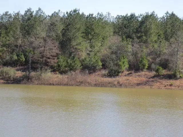 50 West Circle, Ellisville, MS 39437