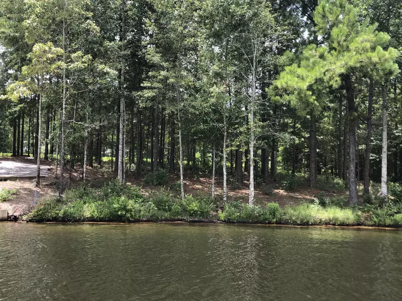 Lot 29 Red Canoe, Lumberton, MS 39455