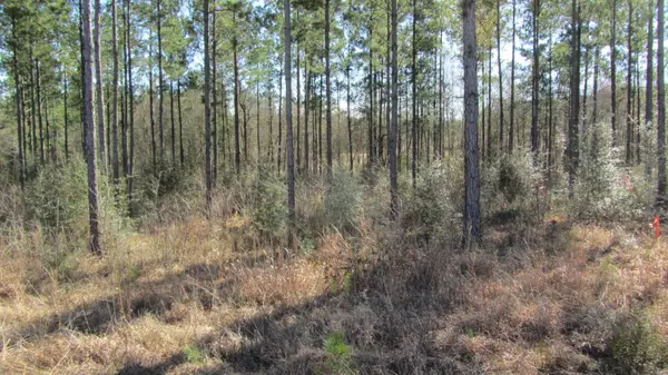 Sumrall, MS 39482,0A Epley Rd.