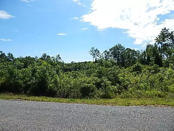 000 C & S Rd., Kokomo, MS 39643