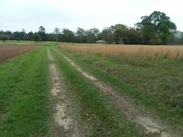 Picayune, MS 39466,00 Rufus Lee Rd.