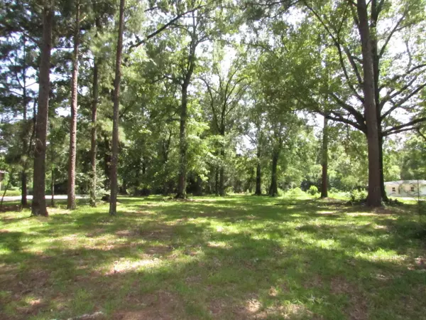 Columbia, MS 39429,Lot 2 Broad Street