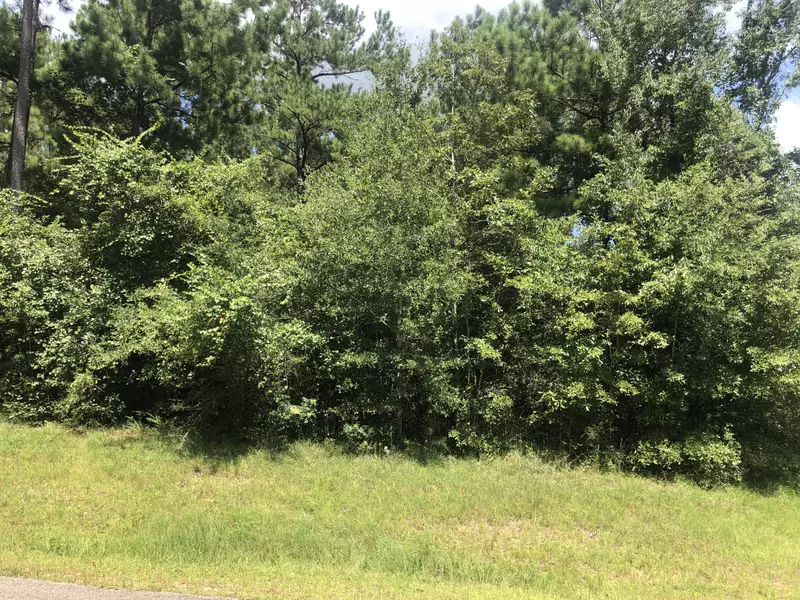 0 Katherine Ave., Sumrall, MS 39482