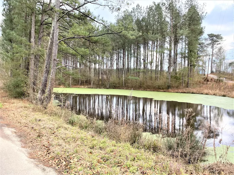 00 Jessie's Lane, Laurel, MS 39443