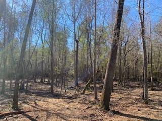 Hattiesburg, MS 39402,000 Car Country Ln.