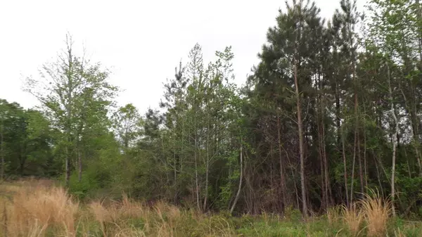 Oak Vale, MS 39656,0 Hammond Rd.