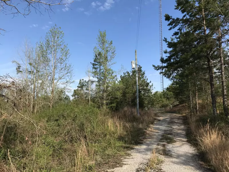 51 Dunaway LOOP, Foxworth, MS 39483