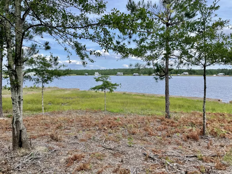 Lot 6 Lure Line, Lumberton, MS 39455