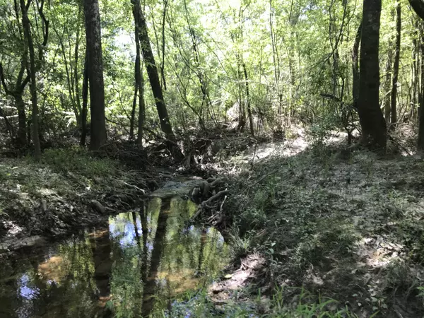 Mc Lain, MS 39456,0 Jericho LOOP