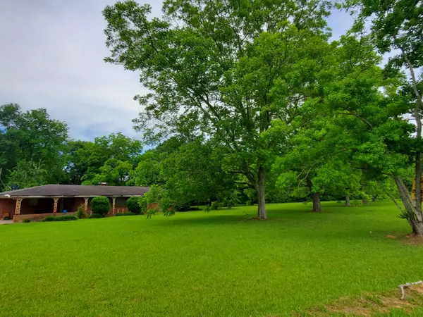 Mount Olive, MS 39119,5390 S US Highway 49