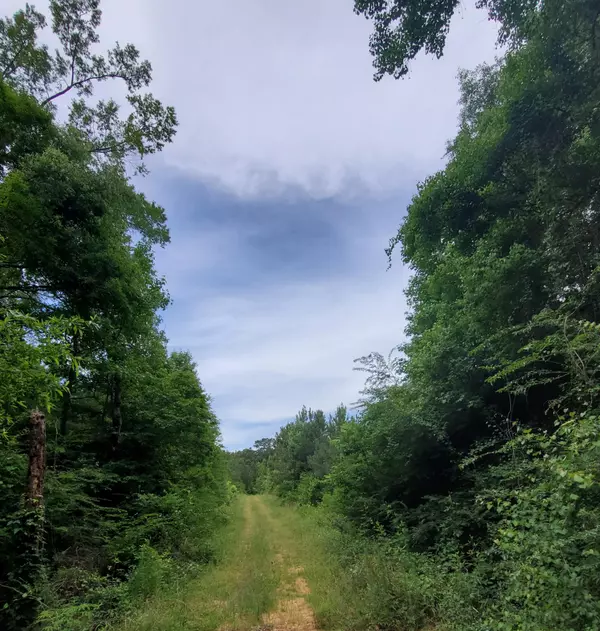 Mount Olive, MS 39119,5390 S US Highway 49