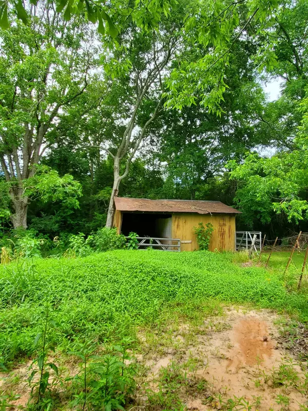 Mount Olive, MS 39119,5390 S US Highway 49