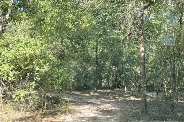 Beaumont, MS 39423,10 Acres Patterson Loop