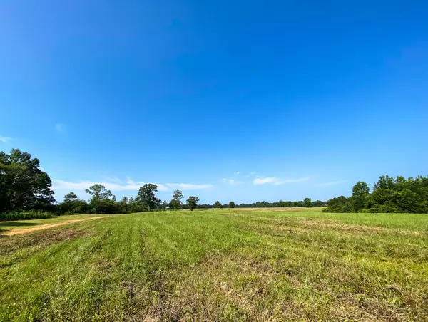 Ovett, MS 39464,128 Acres Arthur Tucker Rd.