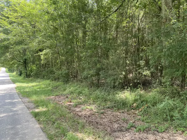 Ellisville, MS 39437,13 ac MOL Slayton Rd - Parcel 2