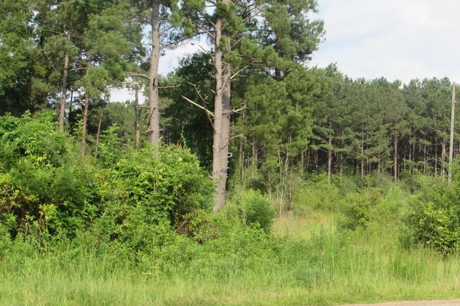 00 Hutson Morris Rd., Columbia, MS 39429