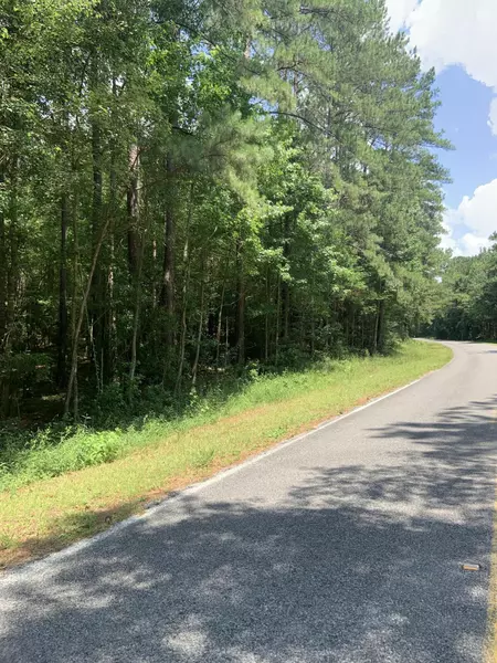 621 Tom Stockman, Moselle, MS 39459