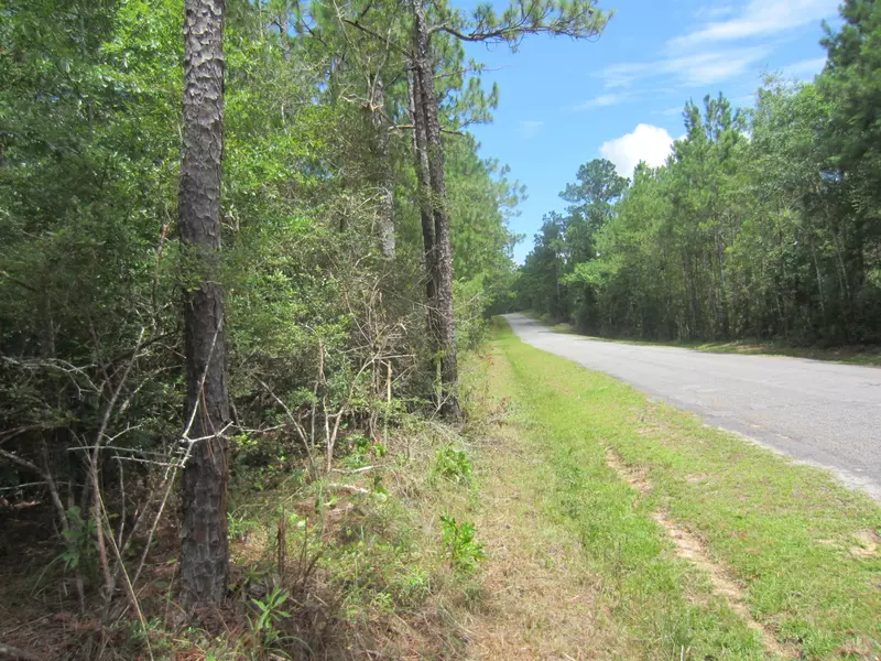 Parcel 3 Luther Saucier Rd., Lumberton, MS 39455