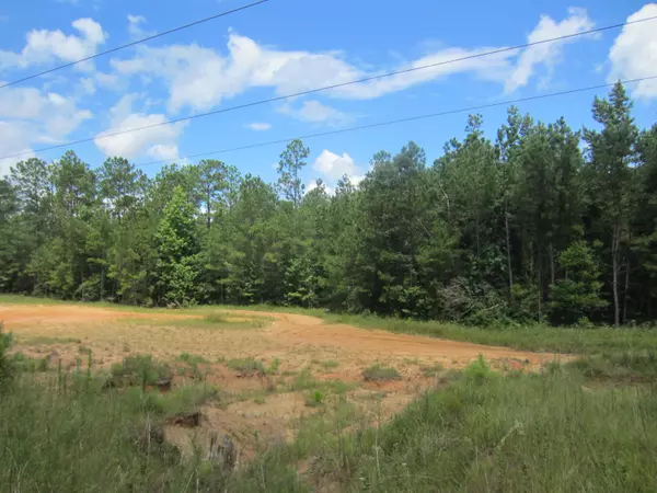 Lumberton, MS 39455,Parcel 3 Luther Saucier Rd.