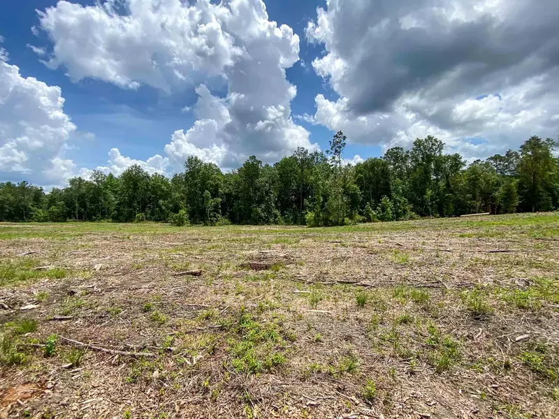 Parcel C Camp Dantzler Rd., Hattiesburg, MS 39401