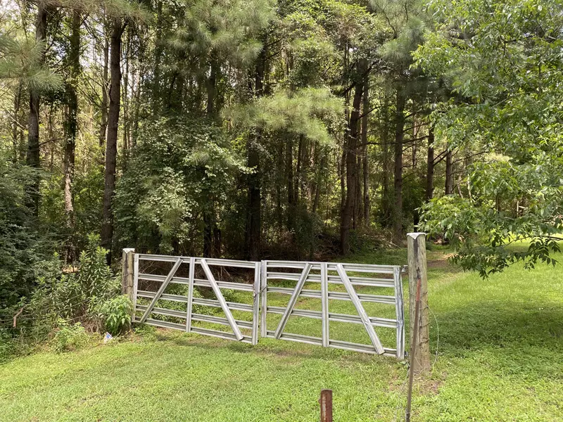 00 Graves Road, Ellisville, MS 39437