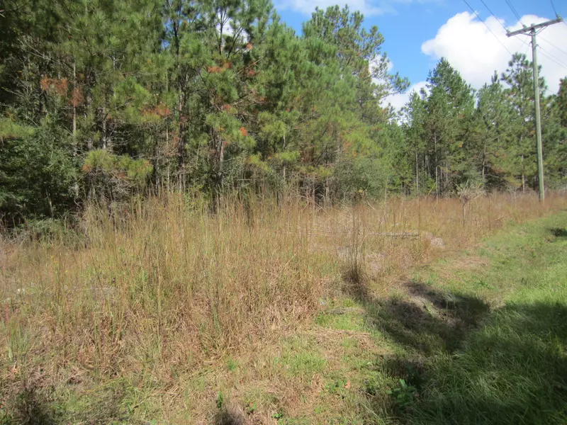 5.89 ac MOL Purvis to Baxterville Rd., Lumberton, MS 39456