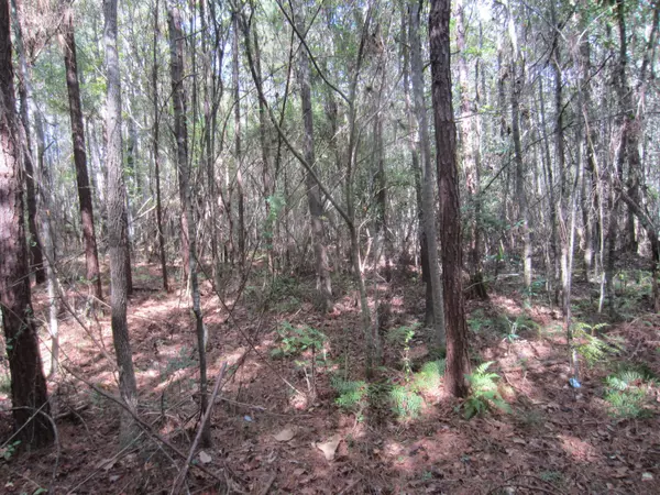 Lumberton, MS 39456,5.89 ac MOL Purvis to Baxterville Rd.