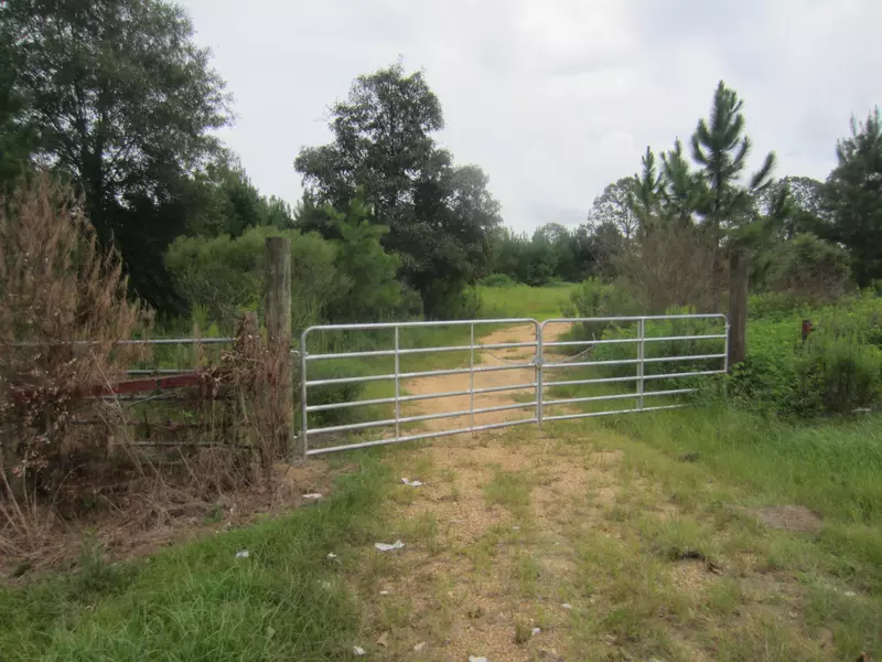 114 ac MOL Highway 13, Lumberton, MS 39455