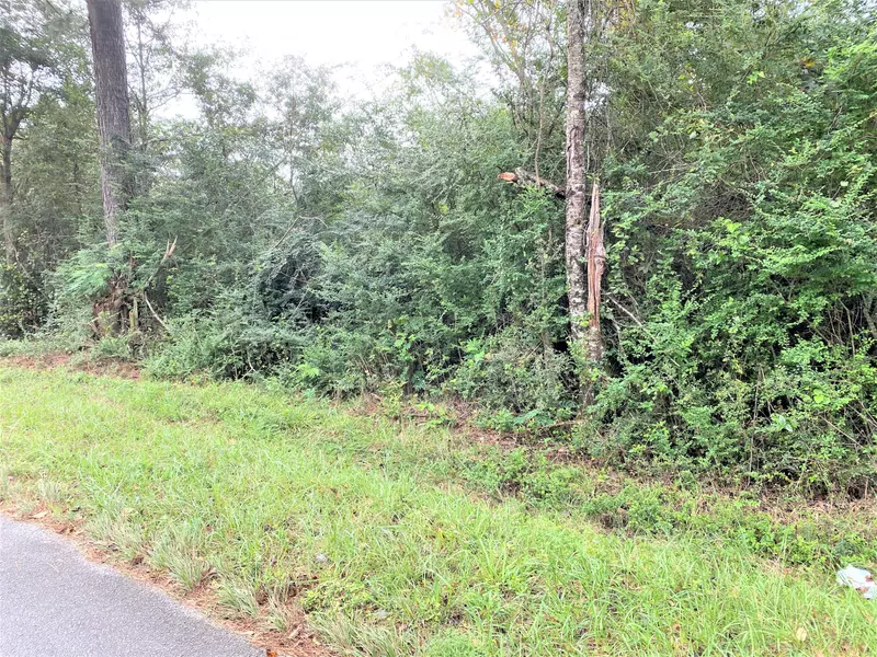 0 Moselle Oak Grove Road, Moselle, MS 39459