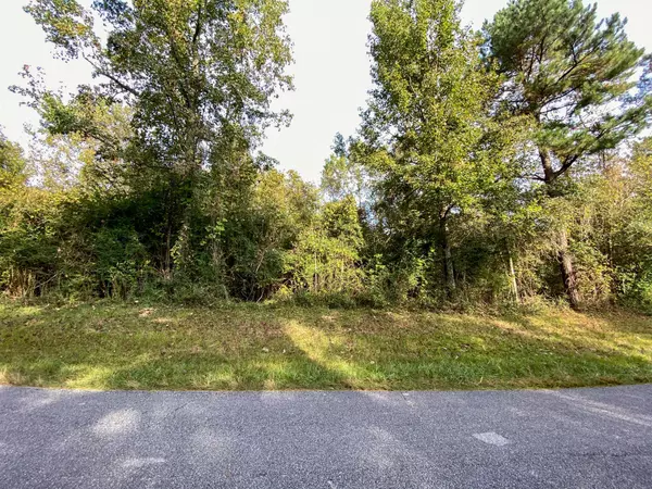 Stringer, MS 39481,0.6 +/- CR 153 Rd.