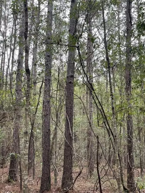 Purvis, MS 39475,0 Corrinth Rd.