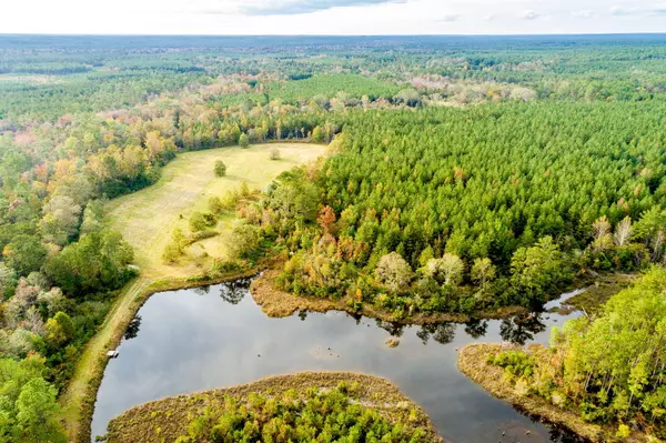 Benndale, MS 39452,148 Acres MOL Benndale Rd.