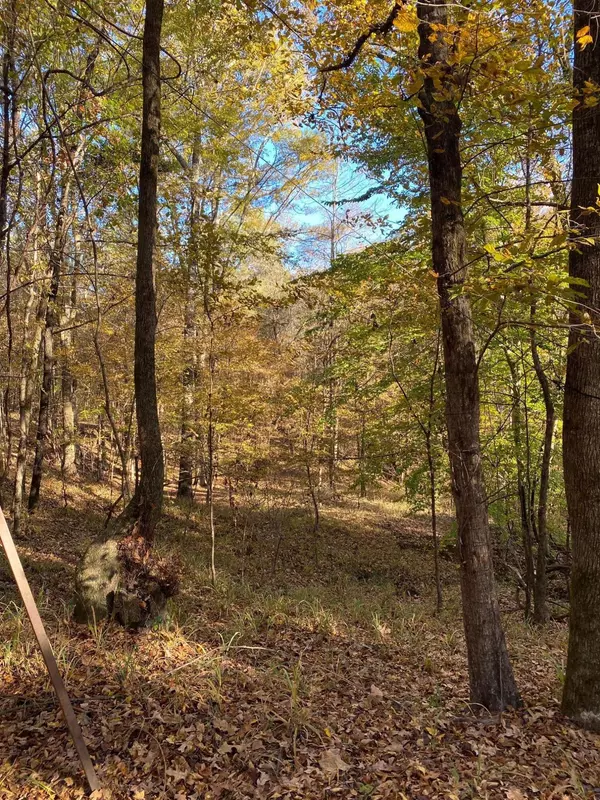 Yazoo City, MS 39095,72.3 Acres Thornton Tolarville Rd.