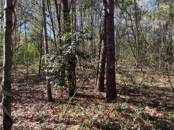 Petal, MS 39465,211 W 5th St.