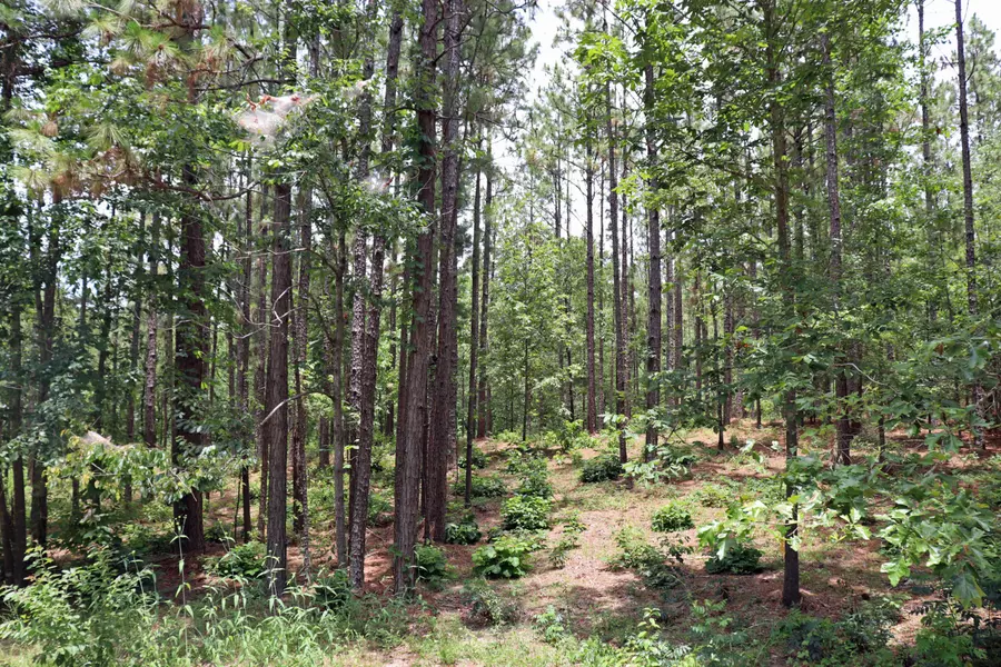 0 Pebble Cir., Lumberton, MS 39455