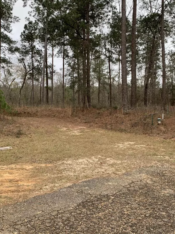 Lumberton, MS 39455,Lot 16 Big Ridge W.