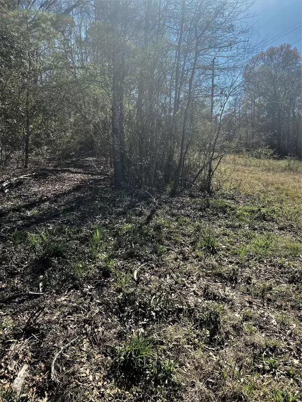 Laurel, MS 39443,00 Trace Road