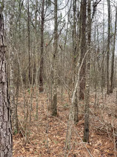24 +/- AC Monticello, Monticello, MS 39665