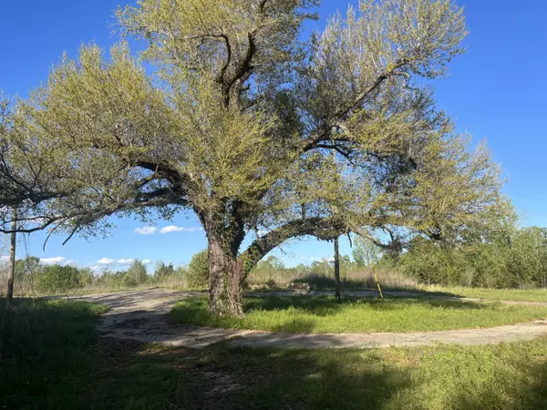 Petal, MS 39465,00 S Main St. Ext