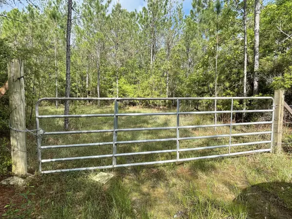 Beaumont, MS 39423,0 Kittrell Rd.