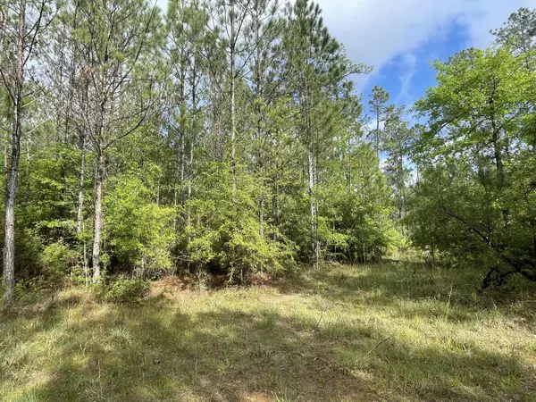 Beaumont, MS 39423,0 Kittrell Rd.