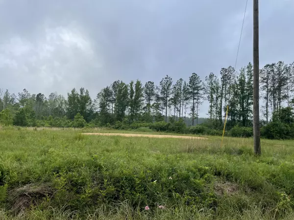 Columbia, MS 39429,0 River