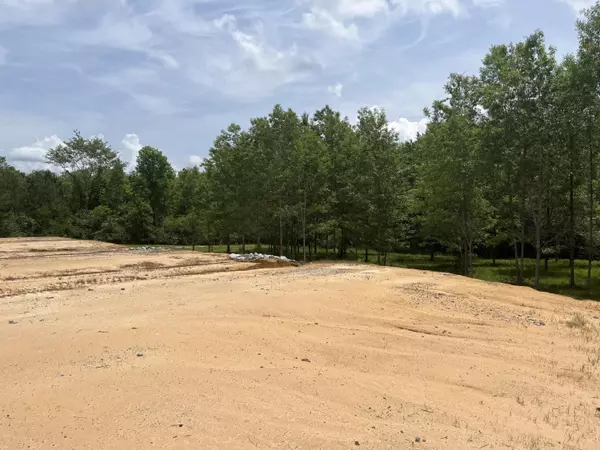 Stringer, MS 39481,00 Co Rd 155