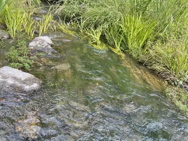 00 Ben Thompson Rd., Hattiesburg, MS 39459