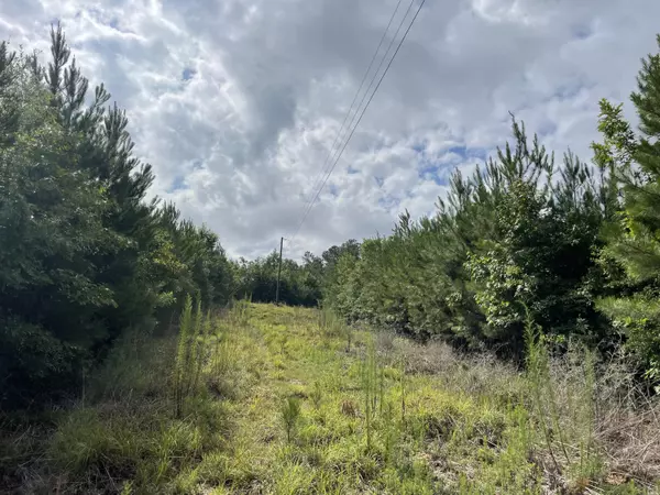 Columbia, MS 39429,00 Sanders Rd