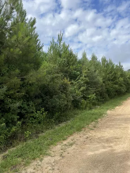 00 Sanders Rd, Columbia, MS 39429