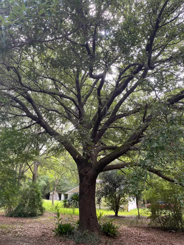 Lumberton, MS 39455,1006 W HINTON Ave.